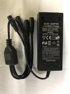 #50671 12V 4 Amp Lithium Fast Charger 100-240VAC input 4-charge ports